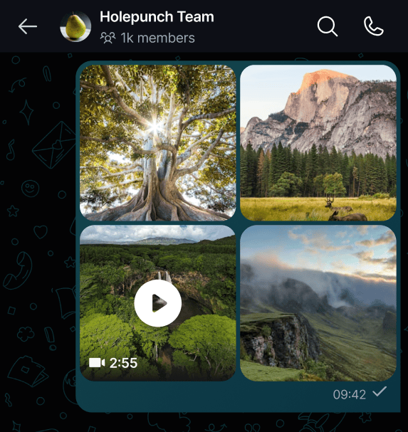 Sharing Files and Media ποΈ Select the files you want to share with your peers, or drag and drop them into the chat window (on desktop).